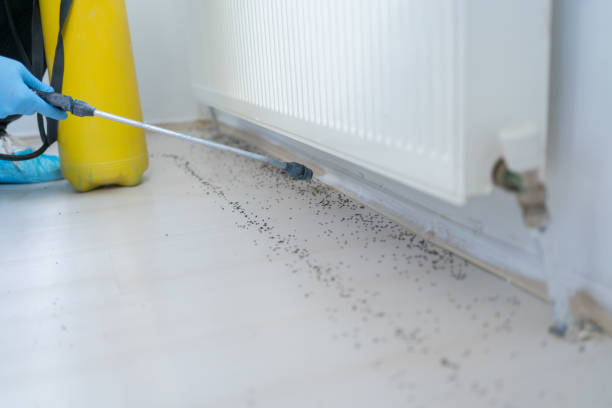 Best Emergency Pest Control  in Saylorsburg, PA